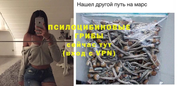 мет Гусиноозёрск