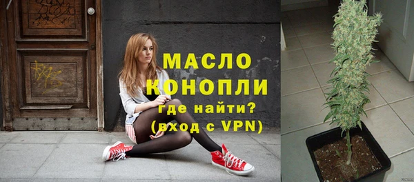 дмт Гусь-Хрустальный
