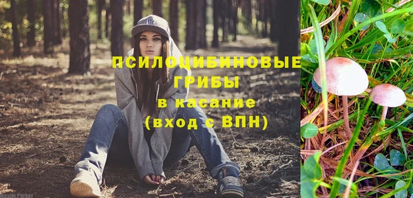 мет Гусиноозёрск
