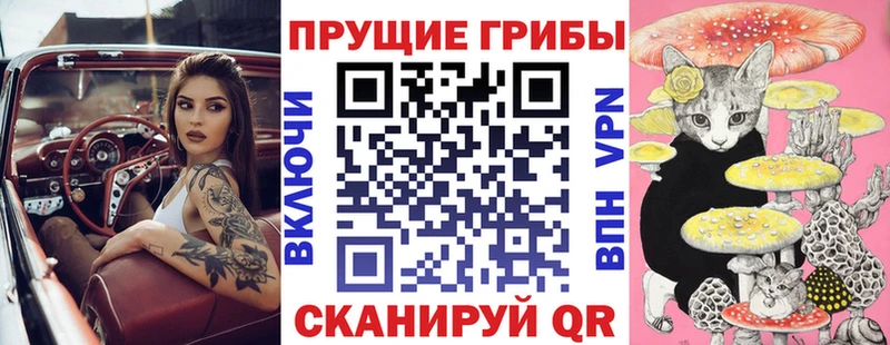 Купить где  Елизово  Галлюциногенные грибы прущие грибы 